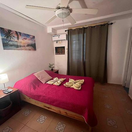 Hotel Tierra Verde Bed And Breakfast 보카스 타운 외부 사진