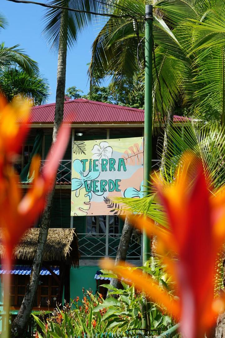 Hotel Tierra Verde Bed And Breakfast 보카스 타운 외부 사진